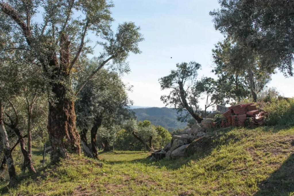 Cantinho Da Pereira Lugar Eksteriør bilde