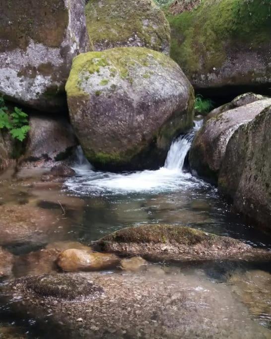 Cantinho Da Pereira Lugar Eksteriør bilde